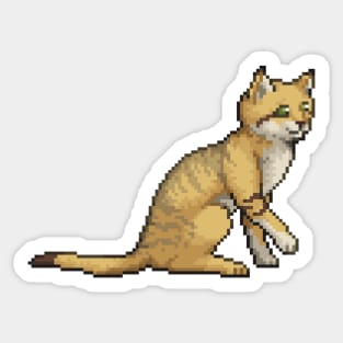 Sand Cat Sticker